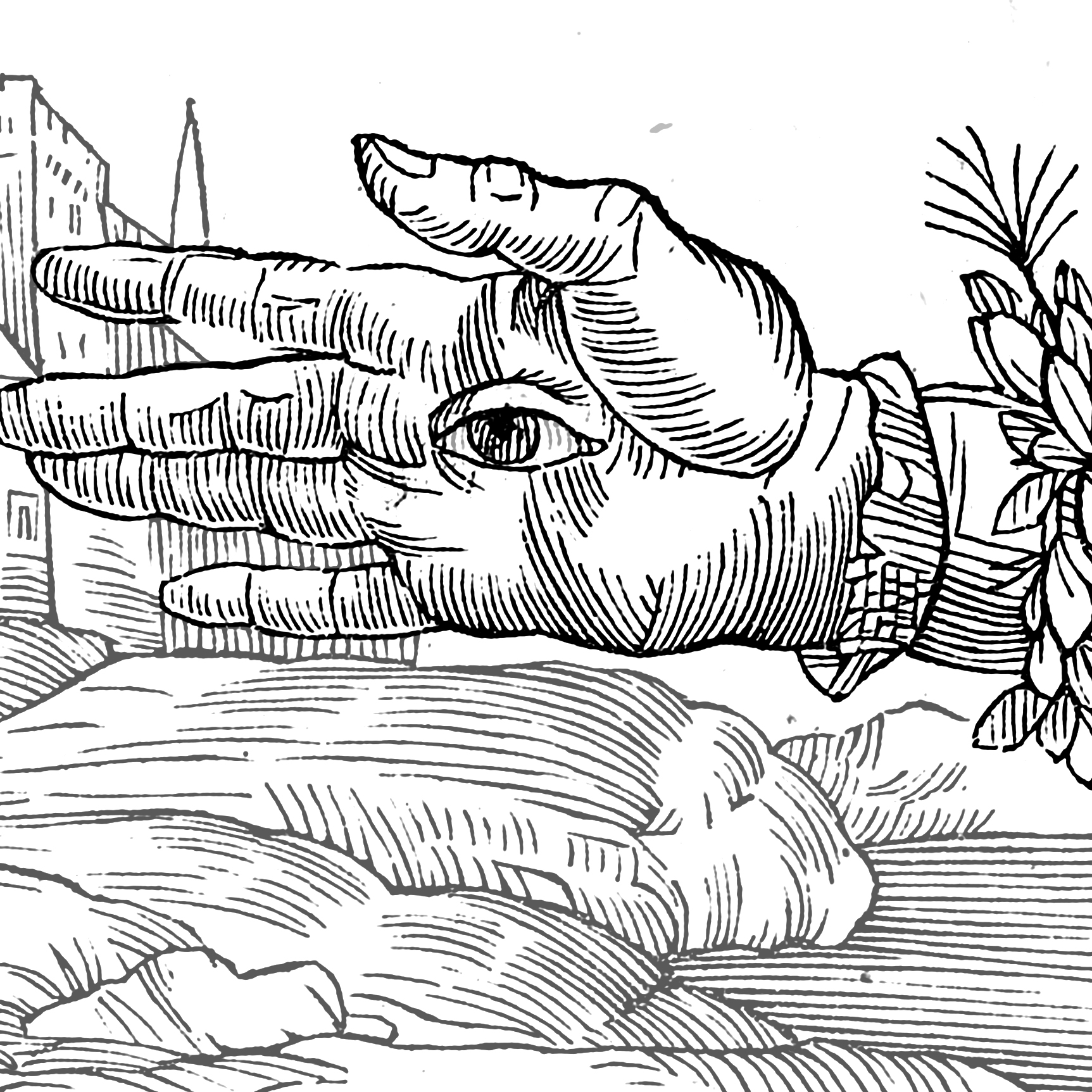 Oculata Manus: On the Role of the Body in the Making of Creative Minds